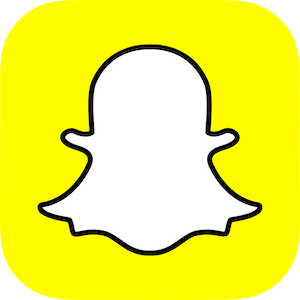 Image for Snap